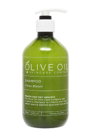 Olive Oil Shampoo