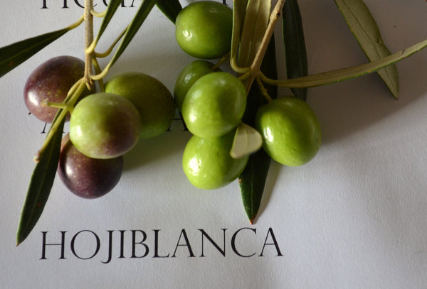 New! Melgarejo Early Harvest Hojiblanca UP Extra Virgin Olive Oil IOO101 Spain